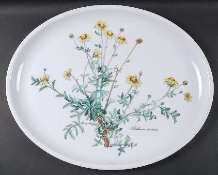 Botanica Plastic Oval Serving Tray