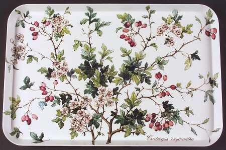 Botanica Plastic Serving Tray 17"