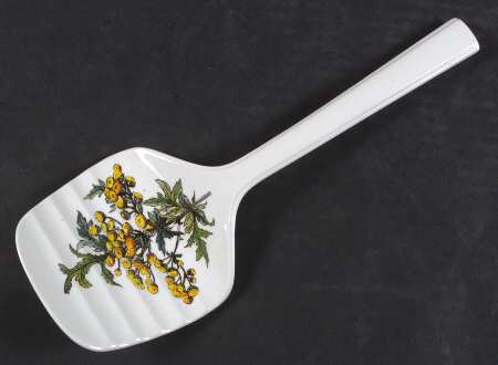 Botanica All Ceramic Asparagus Server