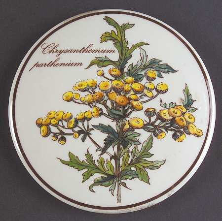 Botanica Lid for 4" Candy Box
