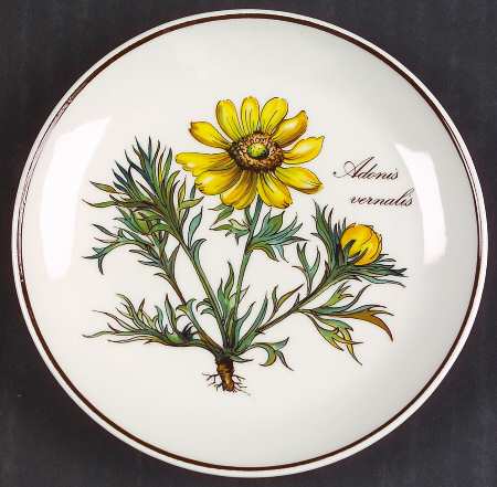 Botanica Coaster