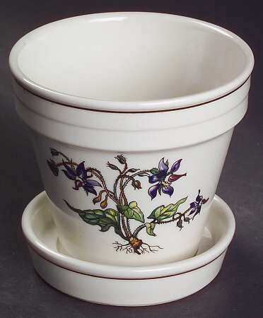 Botanica 3" Flower Pot & Underplate