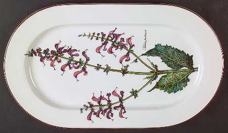 Botanica 15" Oval Serving Platter