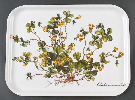 Botanica Plastic Serving Tray 13"