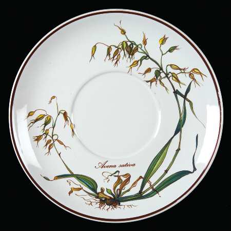 Botanica Underplate for Gravy Boat