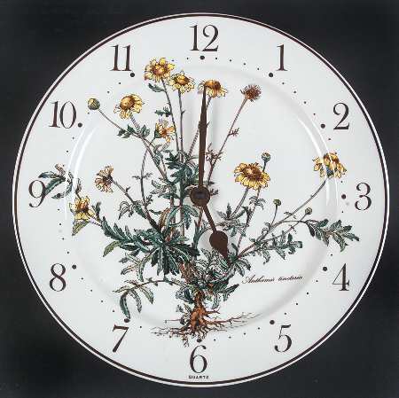 Botanica Clock Plate