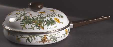 Botanica 10" Metal Skillet & Lid