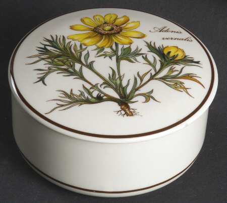 Botanica 4" Candy Box & Lid
