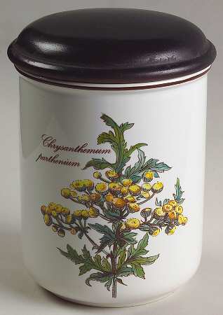 Botanica 4" Storage Jar & Lid