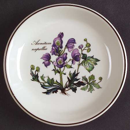 Botanica Wine Bottle Coaster