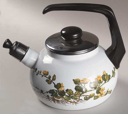 Botanica Metal Kettle & Lid