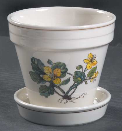 Botanica 3" Flower Pot & Underplate