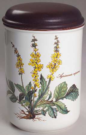 Botanica 5" Storage Jar & Lid