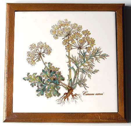 Botanica Wood Frame Trivet