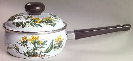 Botanica 1.5 Quart Metal Covered Saucepan