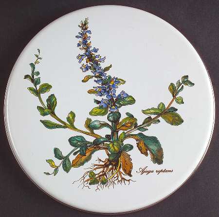 Botanica 8" Steel Individual Stove Cover
