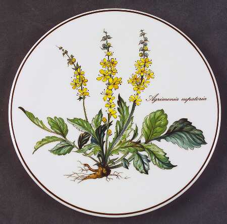 Botanica Tea Tile
