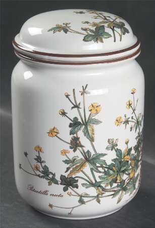 Botanica 5" Storage Jar & Lid