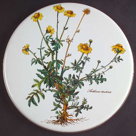 Botanica 9" Individual Steel Stover Cover