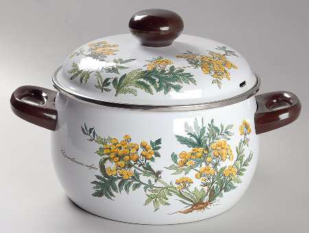 Botanica 4 Quart Metal Stew Pot