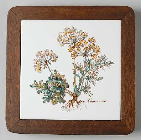 Botanica Wood Frame Trivet