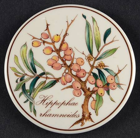 Botanica Lid for 3" Candy Box