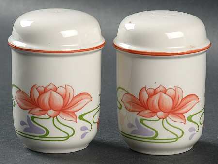 Florida Salt & Pepper Set