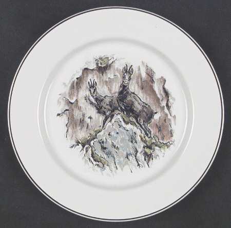 Fontainebleau (No Border, Brown Trim) Salad Plate by Villeroy & Boch