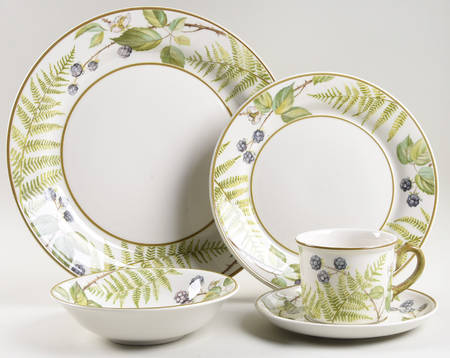 Forsa 5 Piece Place Setting