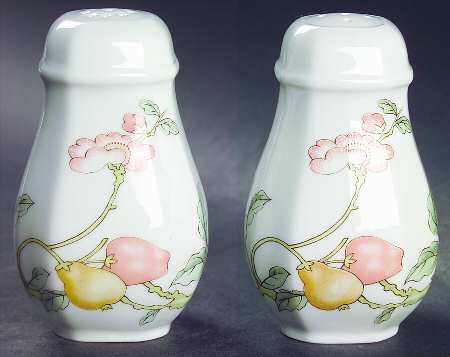 Fruit Garden Salt & Pepper Set by Villeroy & Boch