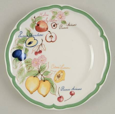 French Garden Fleurence Accent Salad Plate