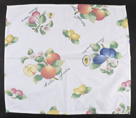 French Garden Fleurence Cloth Napkin by Villeroy & Boch