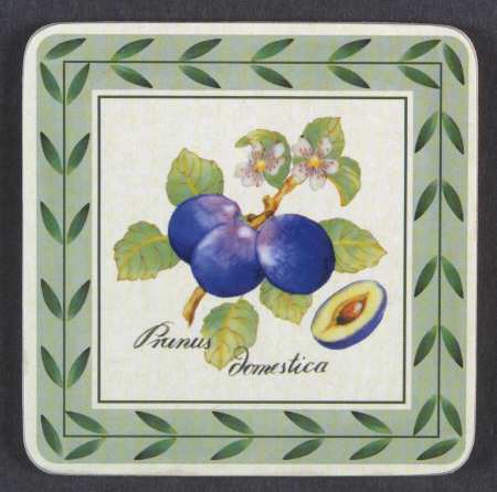 French Garden Fleurence Square Corkback Coaster by Villeroy & Boch