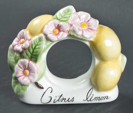 French Garden Fleurence Napkin Ring by Villeroy & Boch