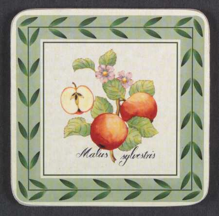 French Garden Fleurence Square Corkback Coaster
