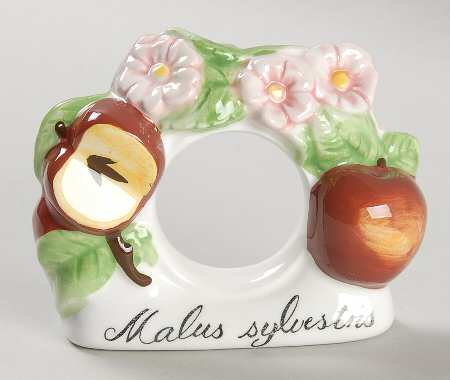 French Garden Fleurence Napkin Ring by Villeroy & Boch