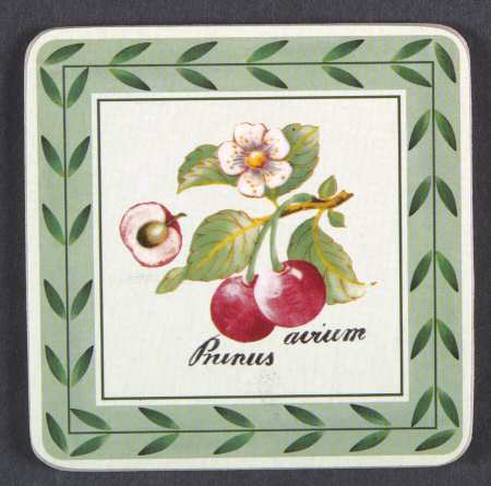 French Garden Fleurence Square Corkback Coaster