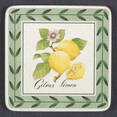 French Garden Fleurence Square Corkback Coaster