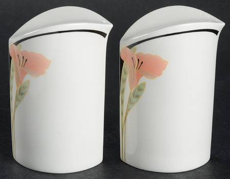 Iris Peach and Black Salt & Pepper Set