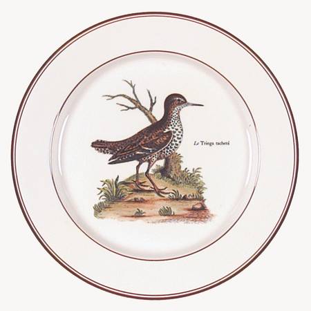 Paradiso (Brown Trim & Band) Salad Plate