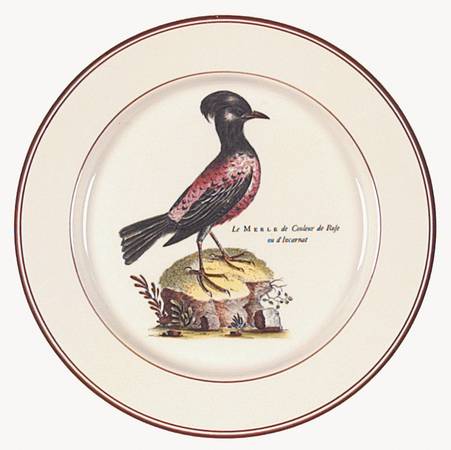 Paradiso (Brown Trim & Band) Salad Plate