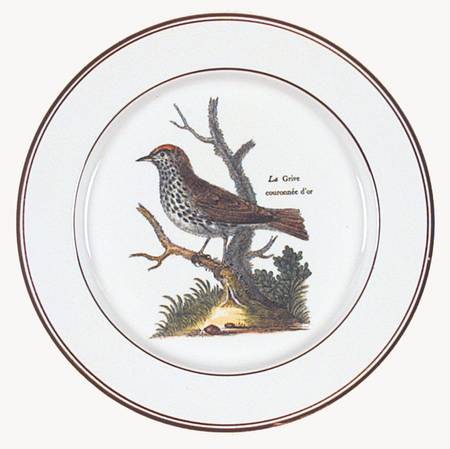 Paradiso (Brown Trim & Band) Salad Plate