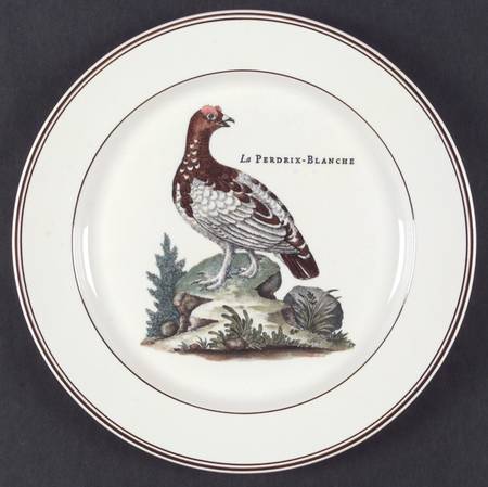 Paradiso (Brown Trim & Band) Dinner Plate