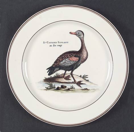 Paradiso (Brown Trim & Band) Dinner Plate