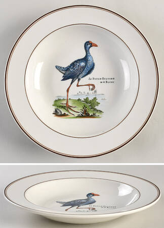 Paradiso (Brown Trim & Band) Rim Soup Bowl