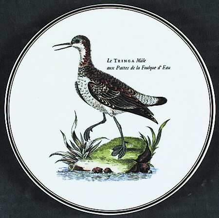 Paradiso (Brown Trim & Band) Tea Tile