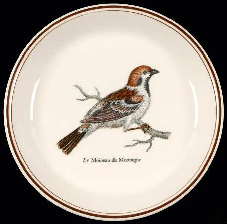 Paradiso (Brown Trim & Band) Coaster