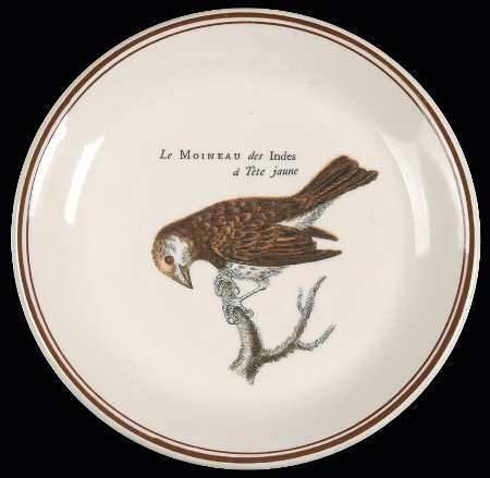 Paradiso (Brown Trim & Band) Coaster