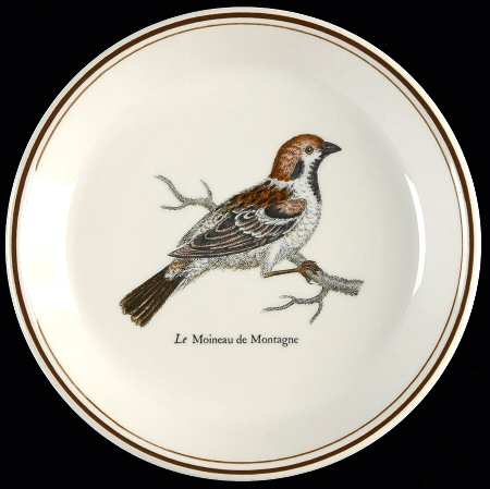 Paradiso (Brown Trim & Band) Wine Bottle Coaster