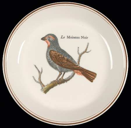 Paradiso (Brown Trim & Band) Wine Bottle Coaster